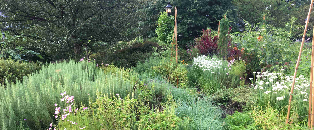 Hillwood's herb garden