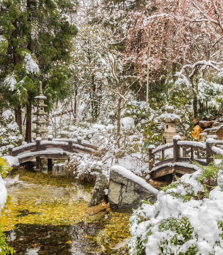 Japanese-style garden in snow