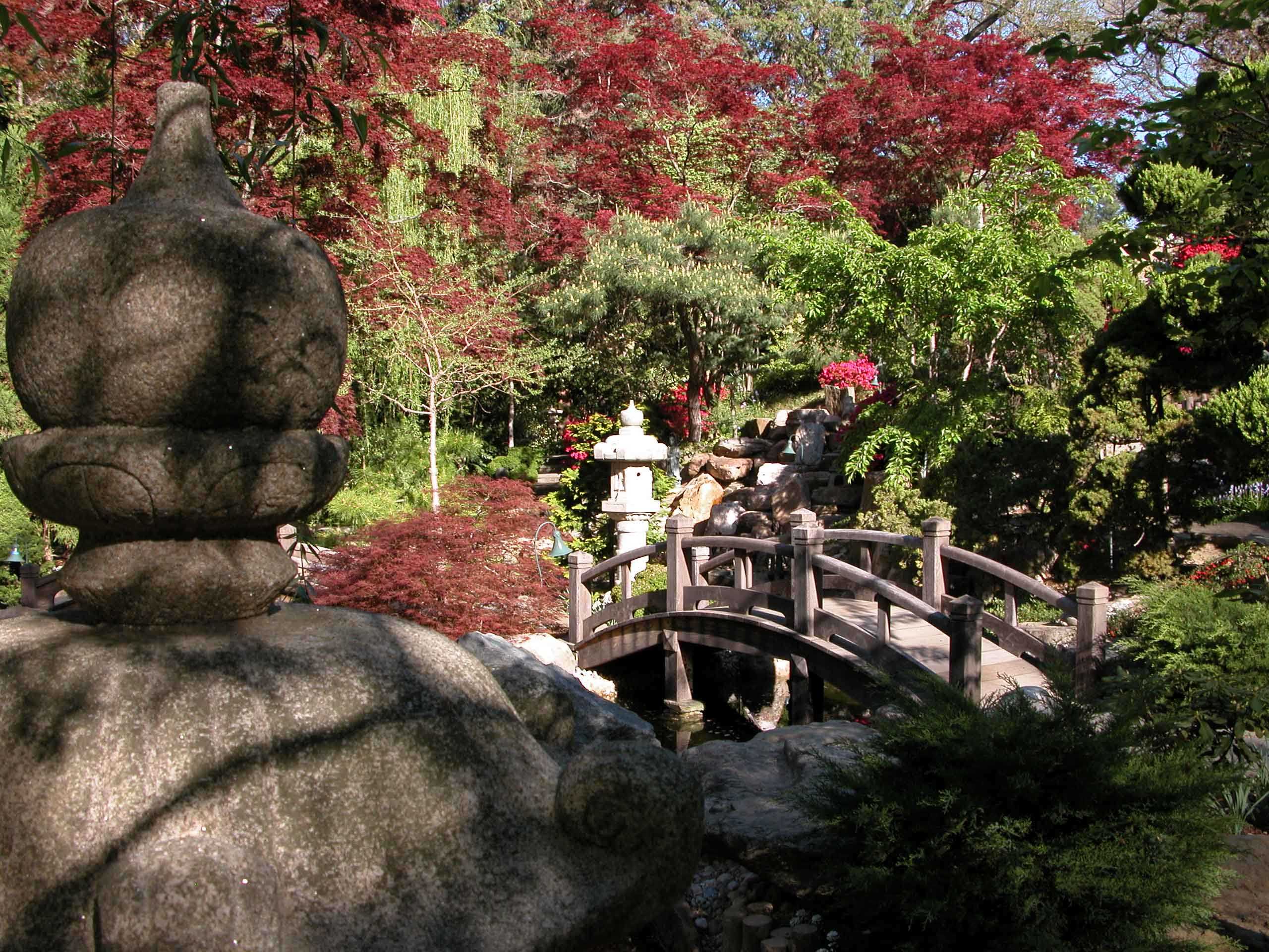 Japanese-style Garden Bridge hardstone path red maples and green conifers