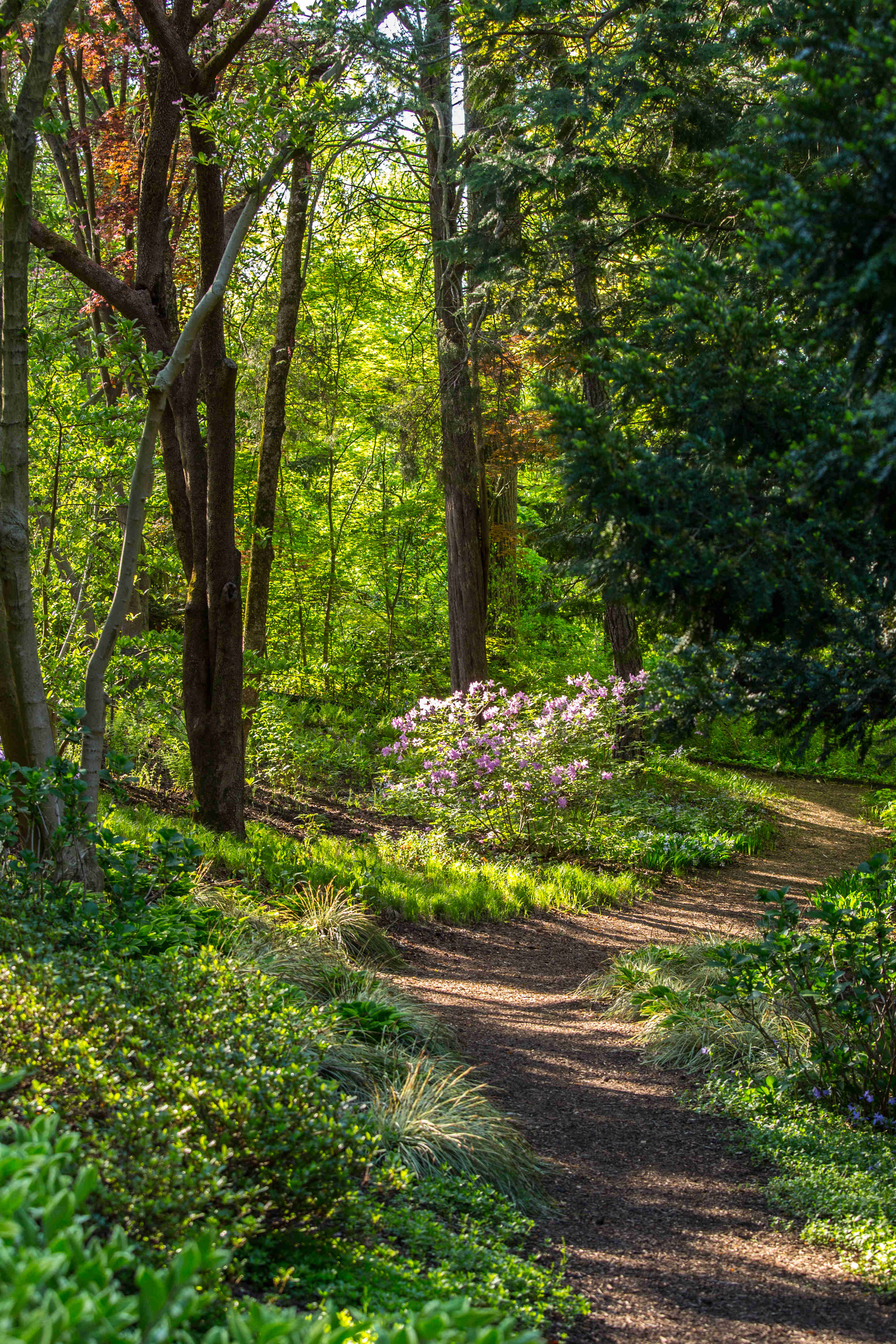 Woodland Trail