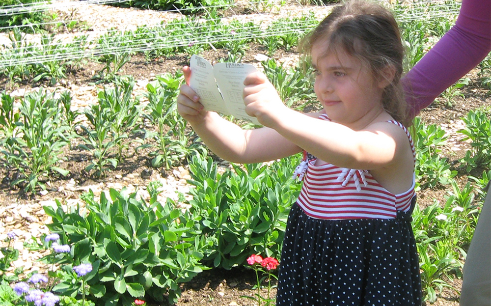 preschooler doing a color search activity in the gardens