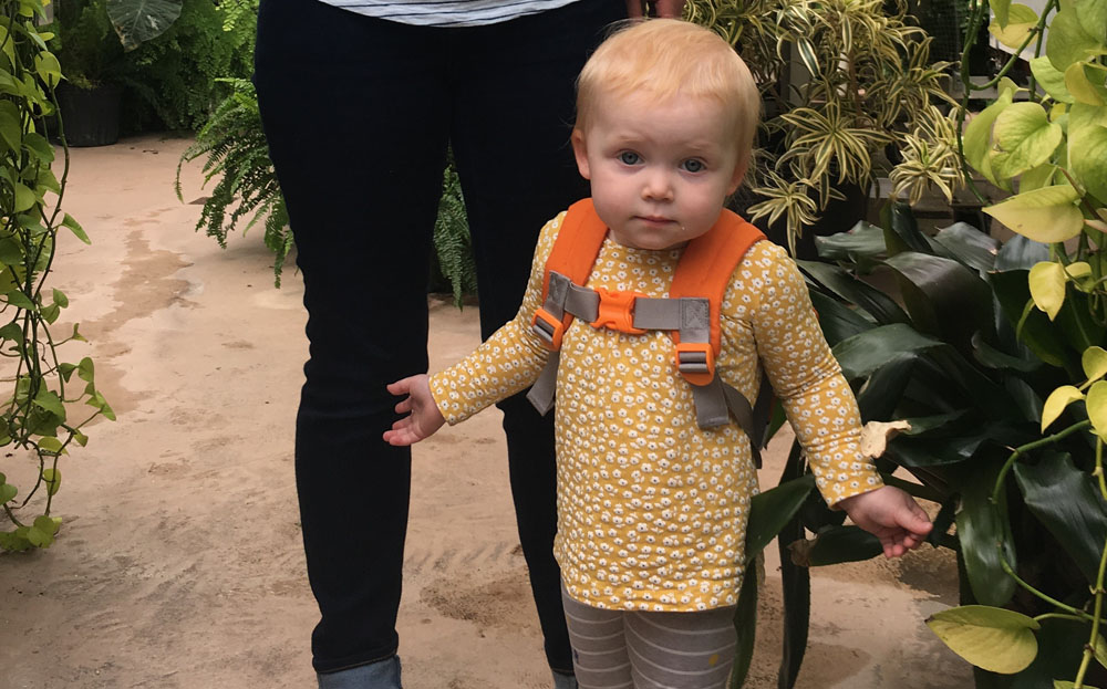 preschooler in the greenhouse