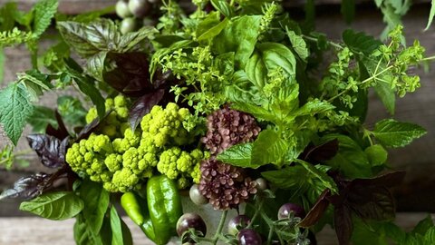 A lush green and purple arrangement highlighting sustainable practices.