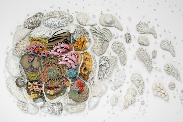 Image of a work by artist Courtney Mattison. Small, porcelain coral pieces are arranged into an intricate design on a white wall.