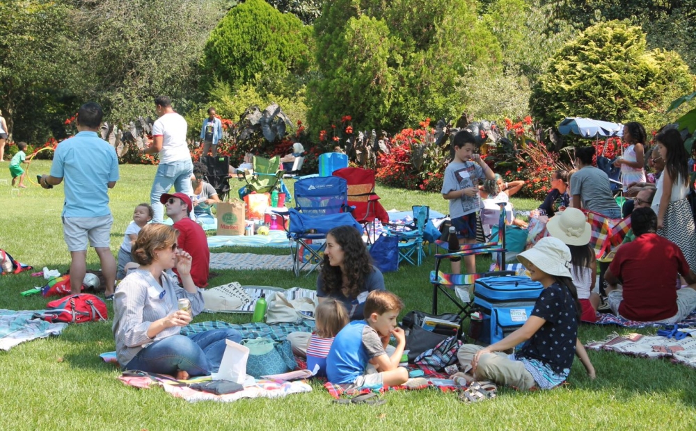 Families enjoying picnics on the Lunar Lawn