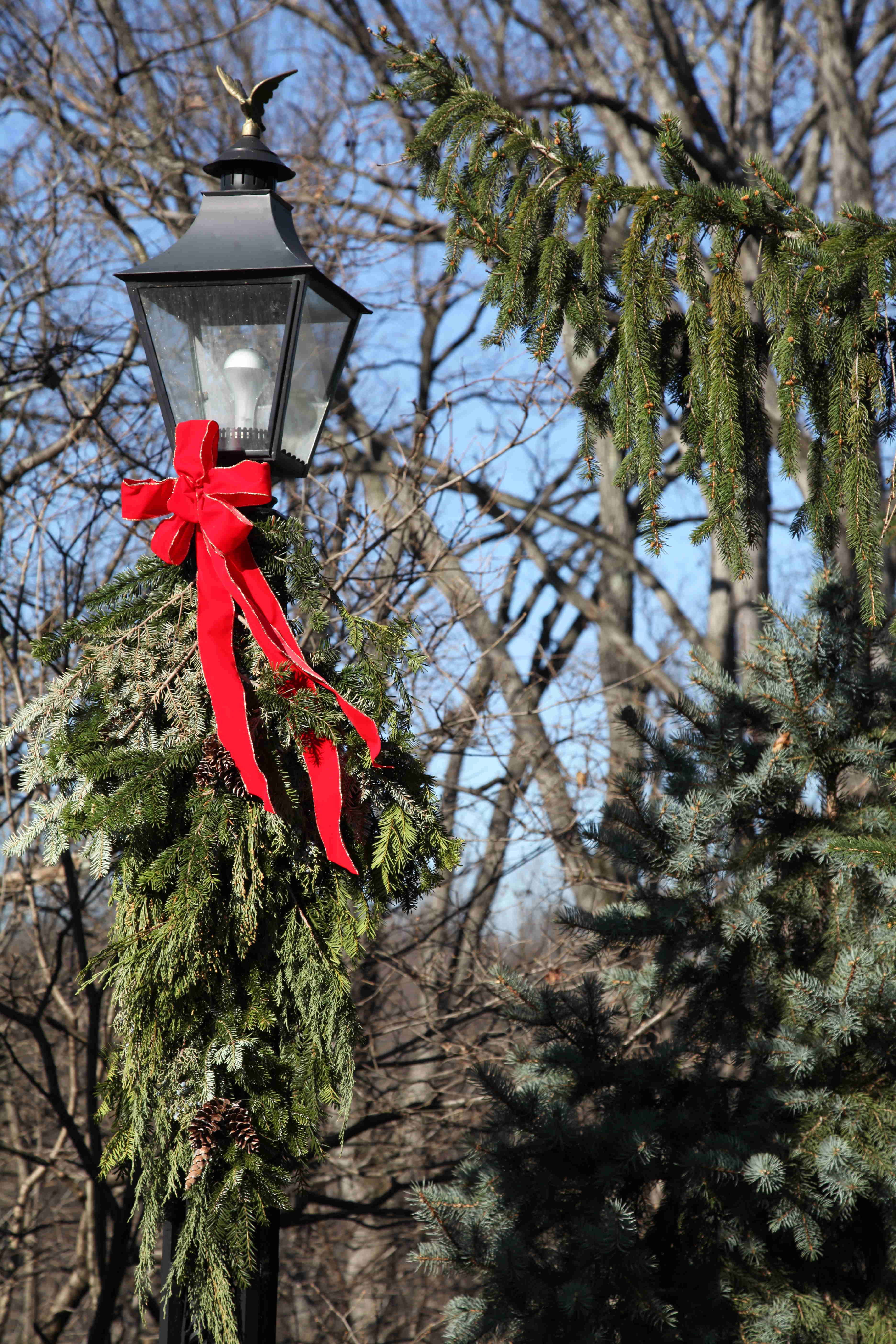 Holiday swag in the gardens