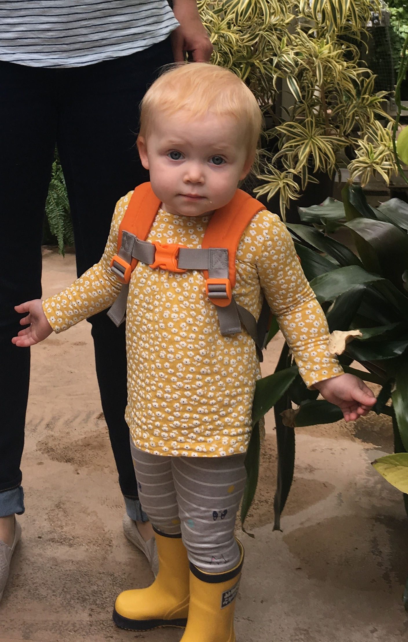 preschooler in the greenhouse