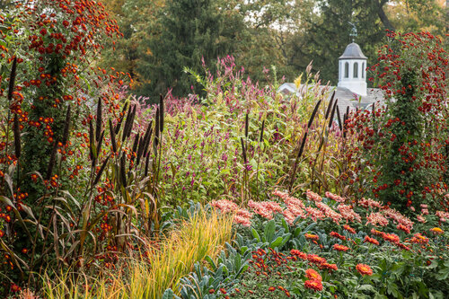 Fall cutting garden