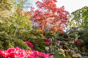 Japanese-style garden